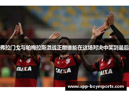 弗拉门戈与帕梅拉斯激战正酣谁能在这场对决中笑到最后